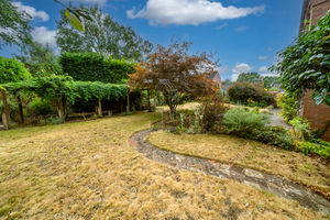 REAR GARDEN- click for photo gallery